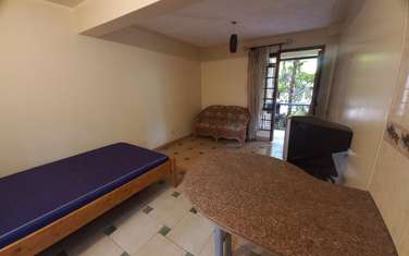 Furnished Studio Apartment with Swimming Pool in Lavington