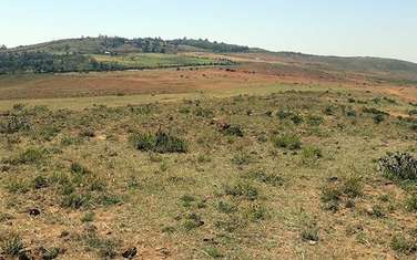 20,235 m² Land in Ndeiya