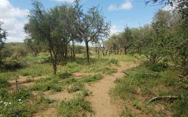 Land for sale in Bisil