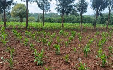 0.05 ha Residential Land at Kikuyu Gikambura