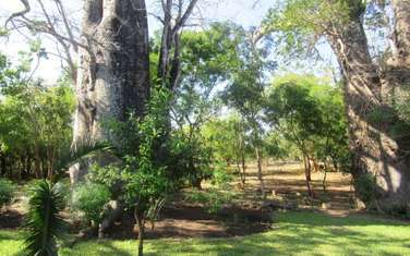 1 ac Commercial Land at Diani