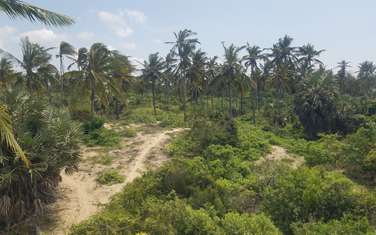 Land in Malindi