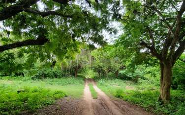 Land in Vipingo