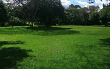 0.25 ac Residential Land at Nkoroi
