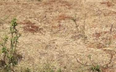 1 ac land for sale in Juja