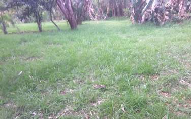1 ac Land in Karen Hardy