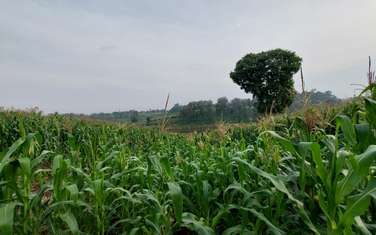 Land at Kitisuru Road