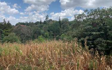34848 ft² land for sale in Nyari