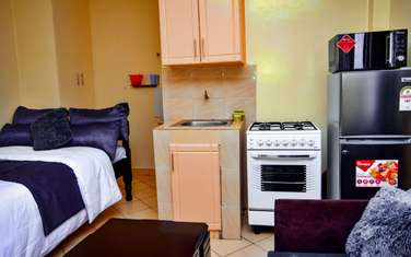 Serviced 1 Bed Apartment with En Suite in South B