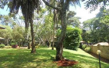 Commercial Land at Brookside Grove