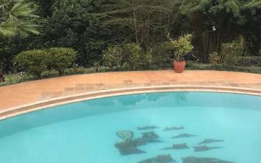 5 Bed House with Swimming Pool at Ibis