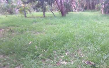 1 ac land for sale in Karen Hardy