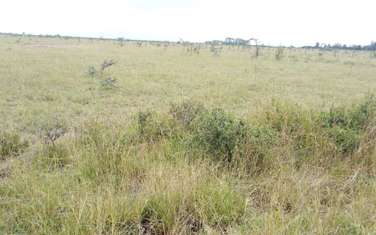 4,200 m² Residential Land at 50*100 Mwalimu Farm Ruiru East