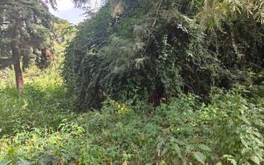 4.1 ac Land at Farasi Lane