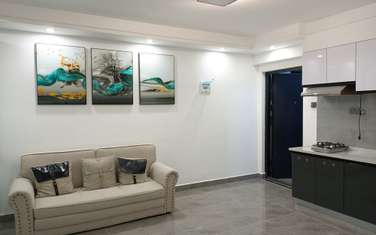 Furnished studio apartment for sale in Kilimani