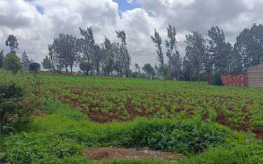 0.05 ha Residential Land at Kikuyu Gikambura