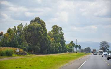 5,000 ft² Land at Ngata