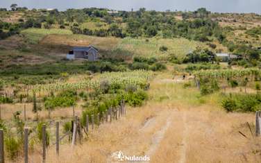 Residential Land at Juja Farm