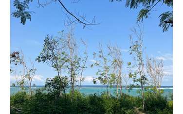 Land in Diani