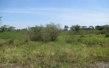 Land at Nyasa Rd