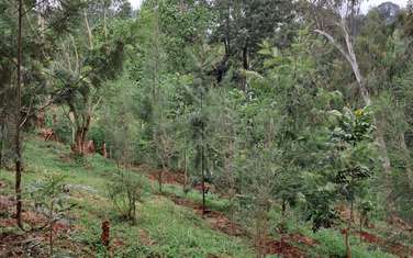 Residential Land in Tatu City