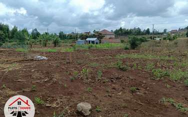 1,000 m² Residential Land at Riu-Nderi