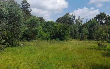 Land in Langata