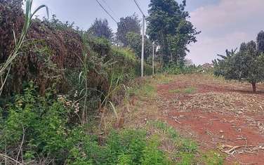 Land at Marurui Road