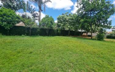 0.5 ac Land at Woodvale Dr.