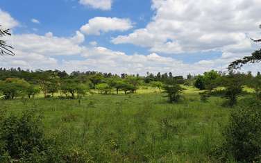 Land at Murang'A