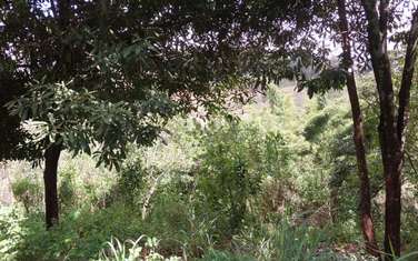 0.25 ac Land at Ndumbu-Ini