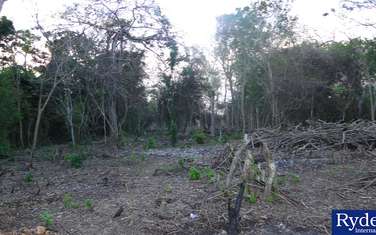 Residential Land at Chale Island