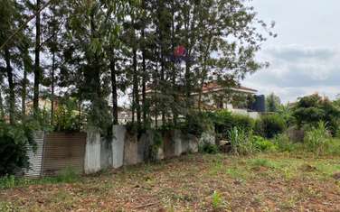 0.6 ac residential land for sale in Thome