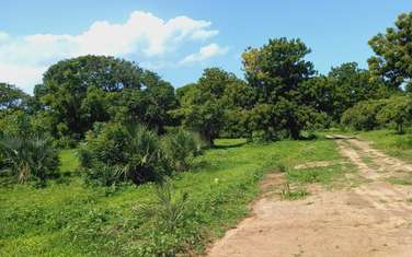 0.25 ac Residential Land in Vipingo