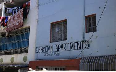 1 Bed Apartment in Embakasi