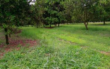 Land at Gatanga Road Past Jogoo Opposite Bahati Ridges Estate.