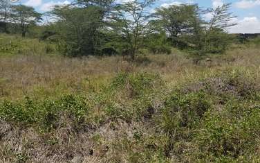 5 ac residential land for sale in South B