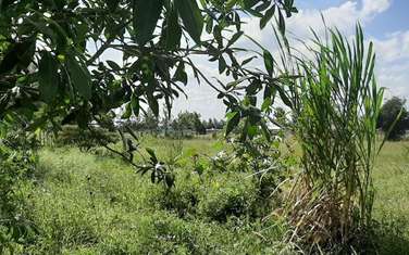 29 ac Commercial Land in Kitengela