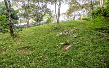 0.71 ac Commercial Land in Muthaiga