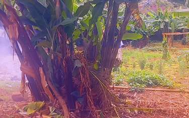 0.5 ac Land at Near Bagladesh Embassy