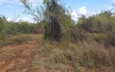 Land for sale in Diani