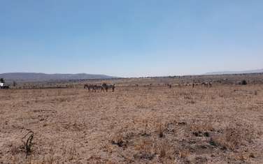 Land in Konza City