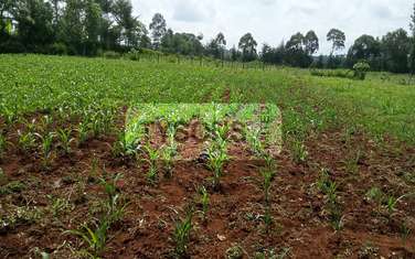 Residential Land in Trans Nzoia