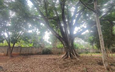 Land at Thigiri Road