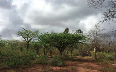30 ac land for sale in Kitui