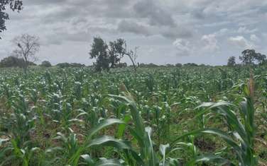 1 ha Land at Kibao Cha Fundi Issa