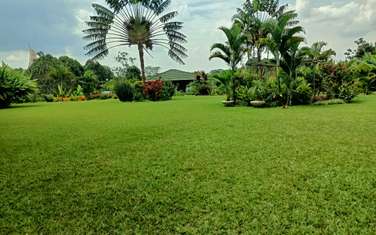Furnished 5 bedroom house for rent in Lower Kabete