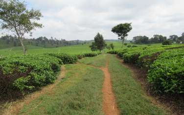 Land for sale in Kiambu Town