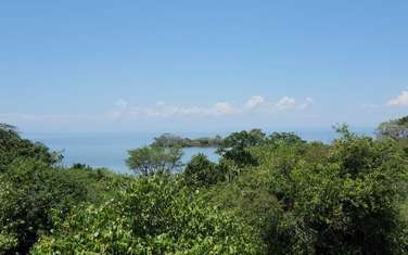 100 ac Land at Seme
