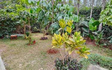 Furnished Bedsitter in Karen